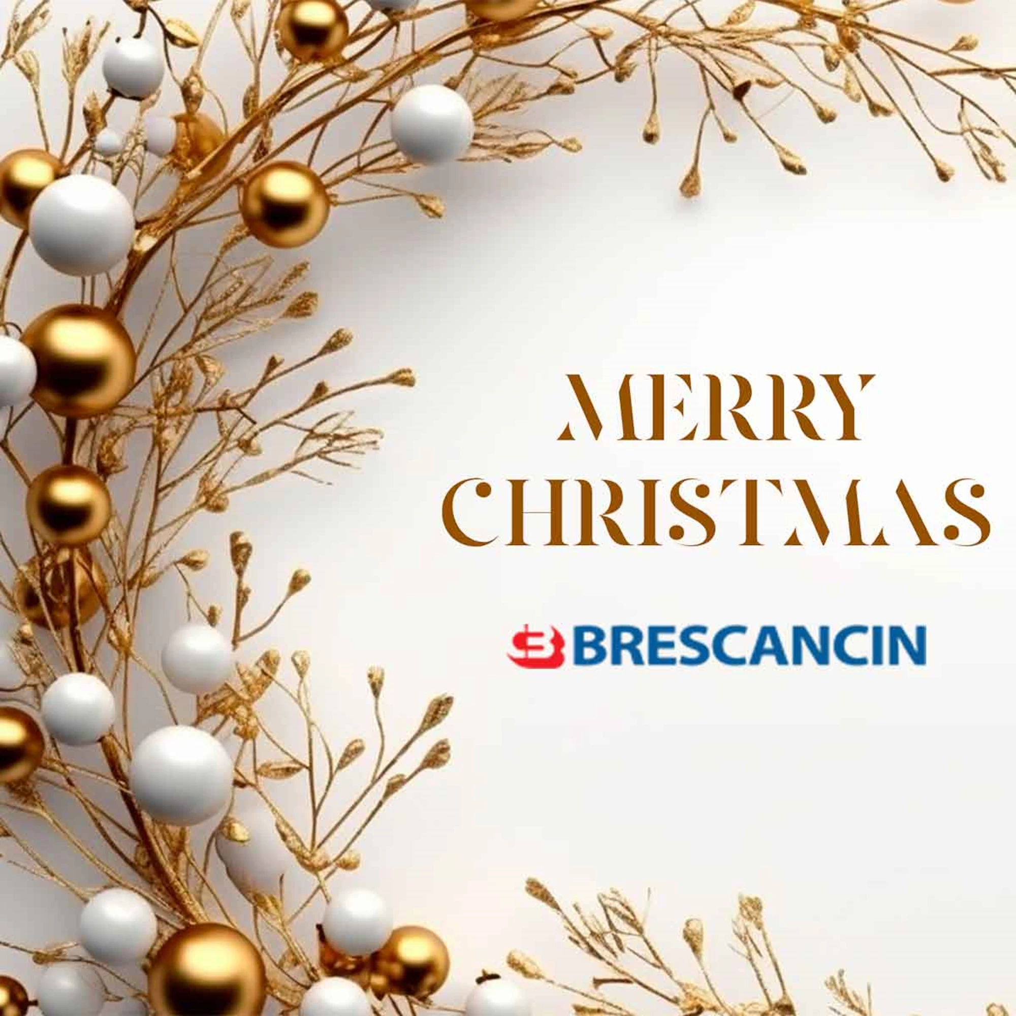 ➡️ HAPPY HOLIDAYS FROM ALL OF US!