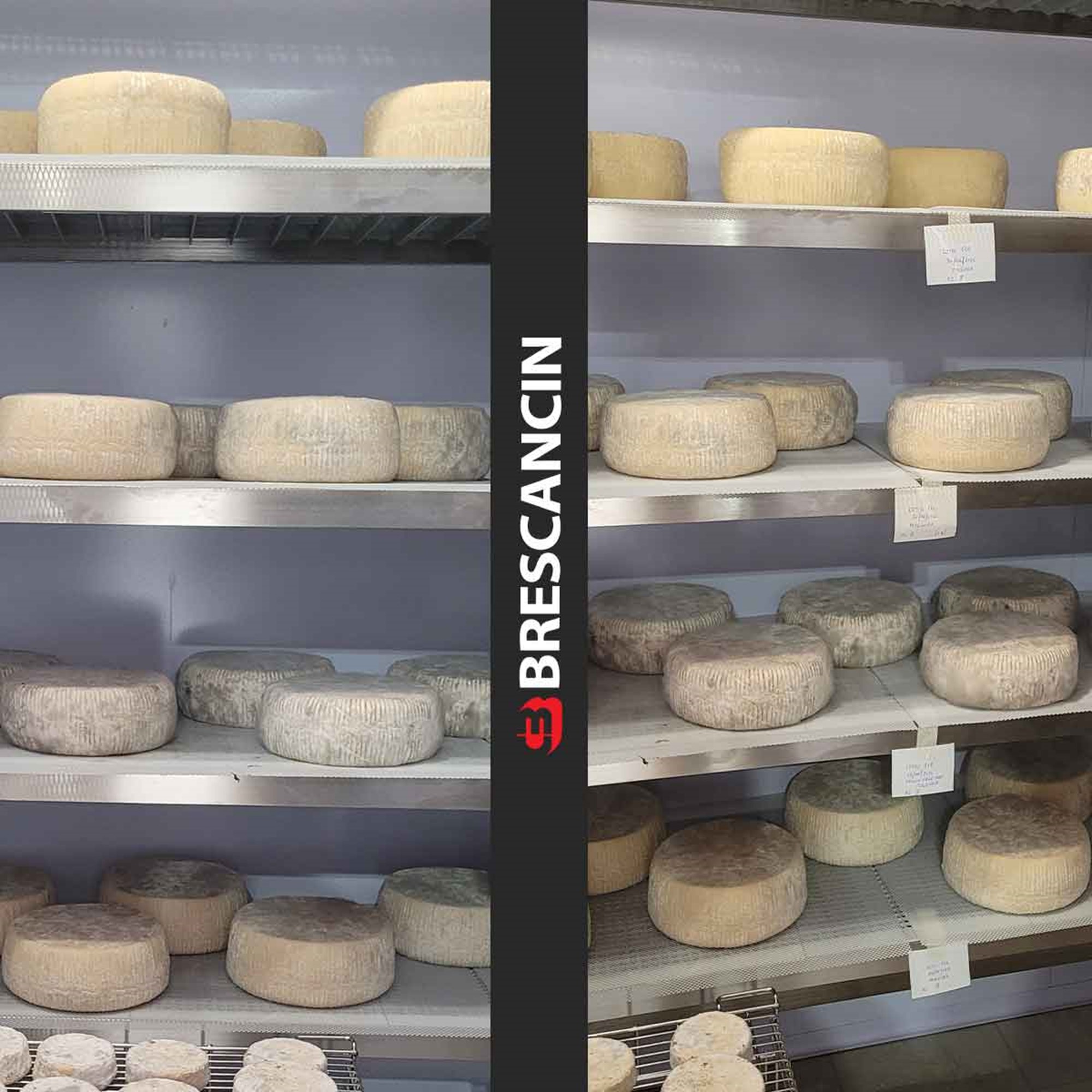 ▶️ INOXPLAST shelves for cheese maturing