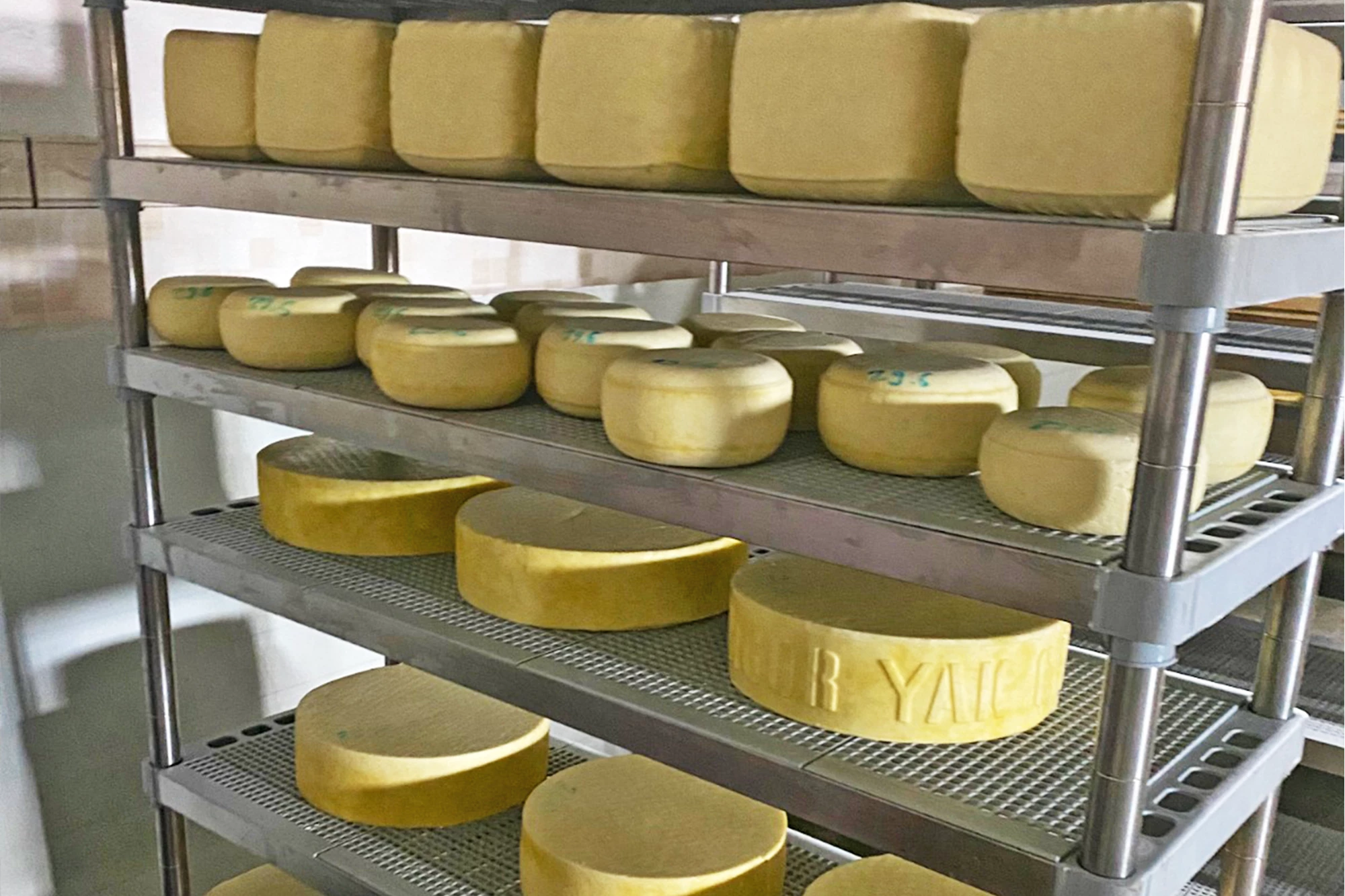 Prateleiras para maturação de queijo