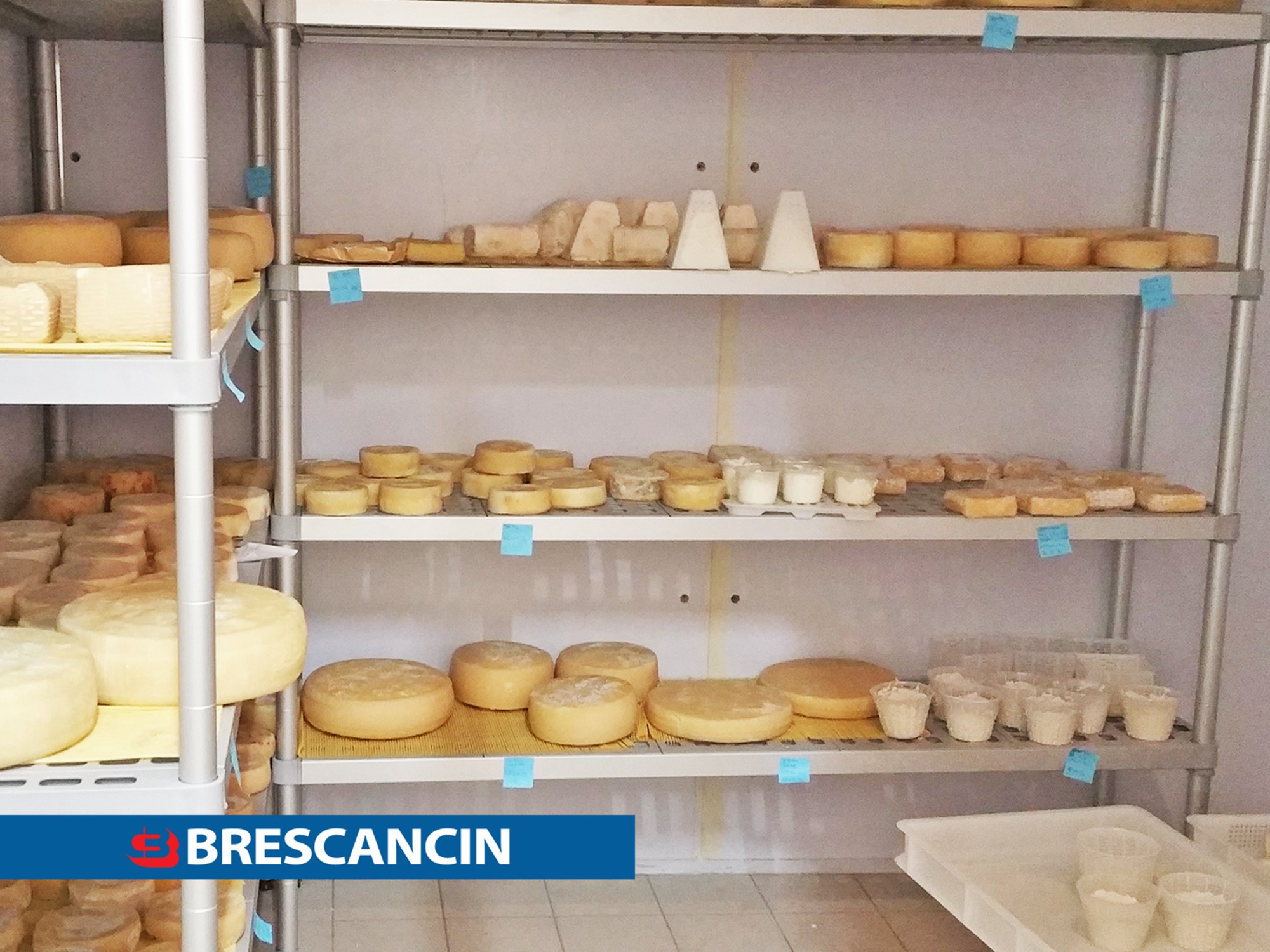 खाद्य अलमारियाँ: पनीर को परिपक्व करने के लिए