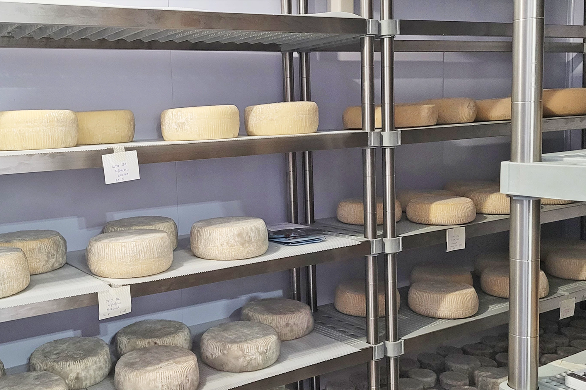 Prateleiras de queijo