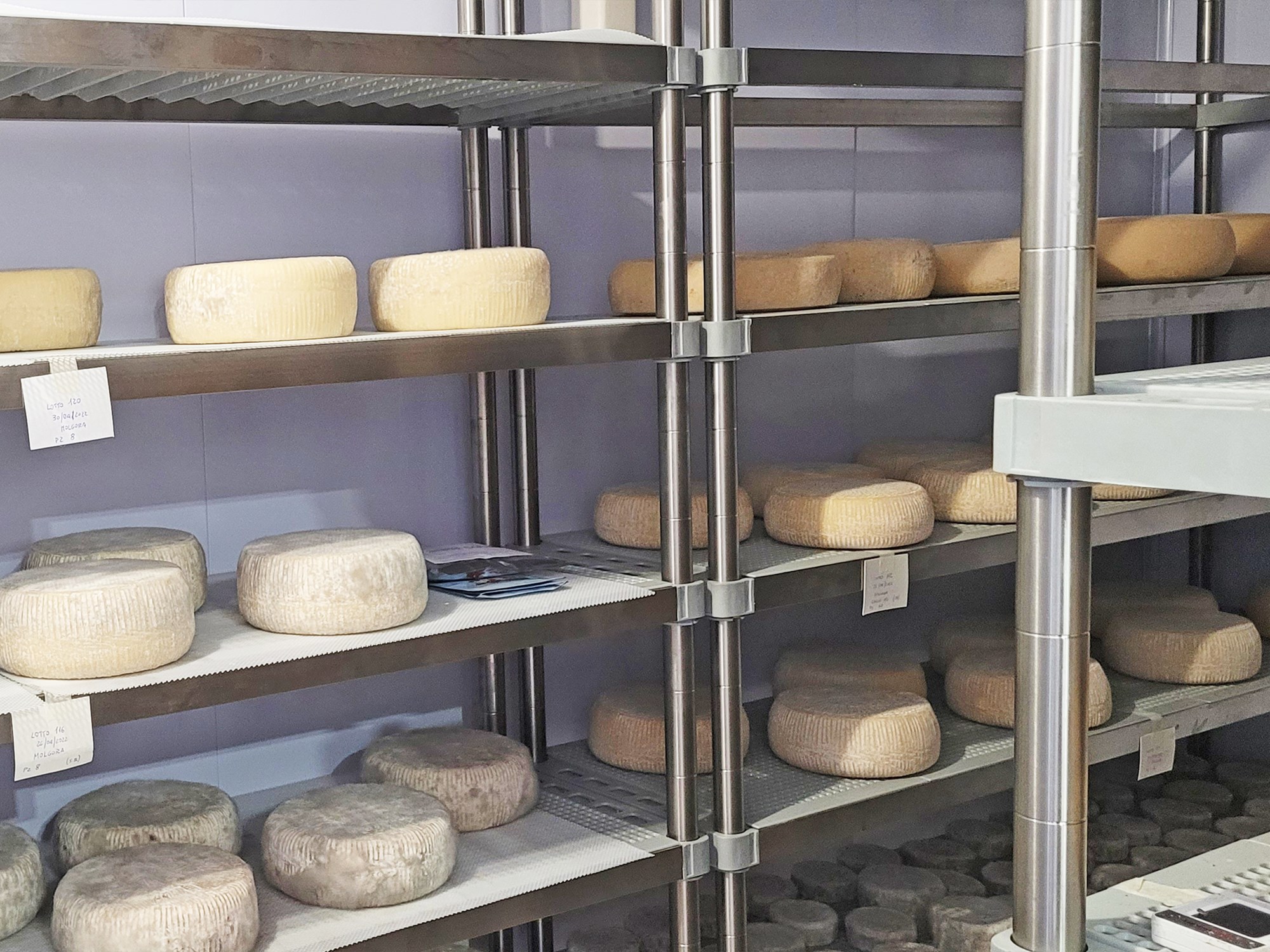 Scaffali INOXPLAST per le celle frigorifere e stagionatura dei formaggi