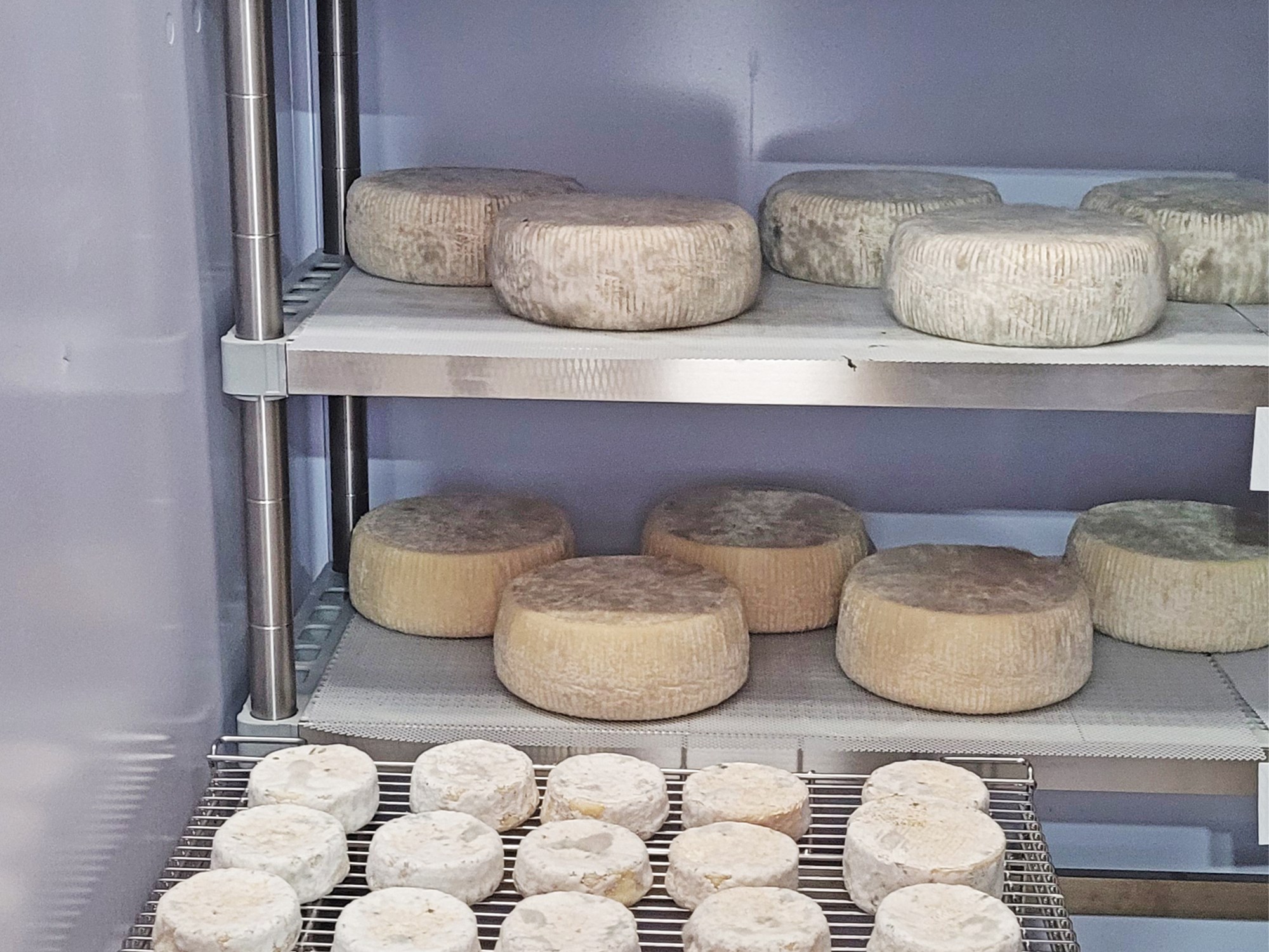 Scaffali INOXPLAST per le celle frigorifere e stagionatura dei formaggi